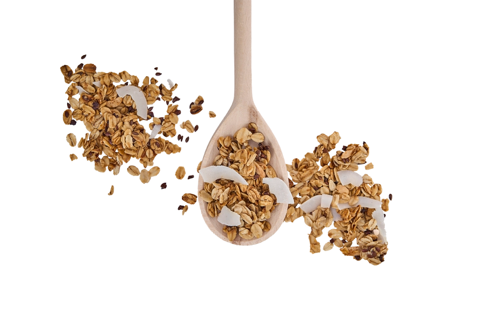 Kokos Chocolade Granola